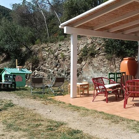 Cottage Eco-Friendly Barcelona Country Side La Garriga Exteriör bild