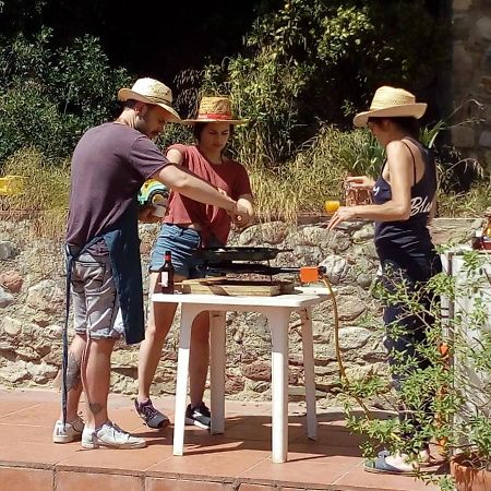 Cottage Eco-Friendly Barcelona Country Side La Garriga Exteriör bild