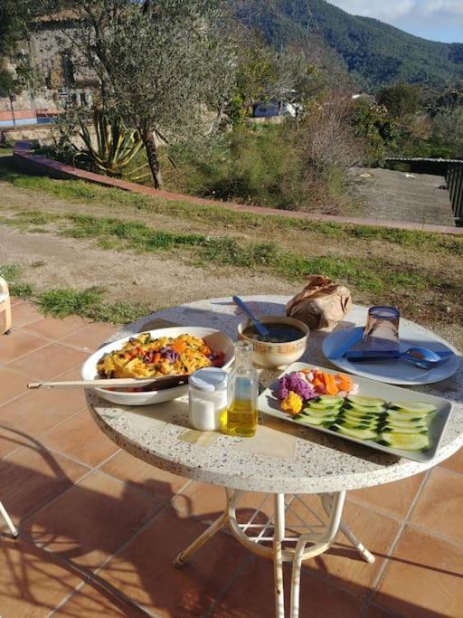 Cottage Eco-Friendly Barcelona Country Side La Garriga Exteriör bild
